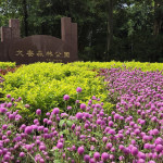 大安森林公園（圖／台北市公園處提供）