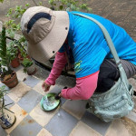 世界蚊子日！屏縣府啟動防疫聯防　呼籲民眾暑假、開學齊防登革熱