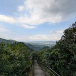忠勇山越嶺步道（圖／台北市大地處提供）