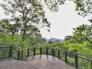 景興支線上景觀平臺（圖／台北市大地處提供）
