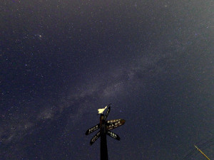 黑面琵鷺賞鳥亭戶外廣場星空
