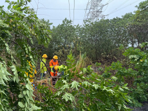 南投縣境多處樹木倒塌折損阻斷道路壓壞線路，台電動員搶修中。（台電南投區處提供）