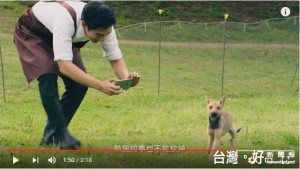 國泰人壽的廣告片在網路上引發不少年輕網友的迴響，突顯出年輕世代的價值觀，以及對於「好工作」的定義正在改變。（圖／截自YouTube）