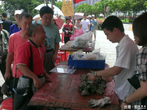 高管處慶端午活動，提供500顆免費肉粽與大家分享。（圖／記者黃村杉攝）