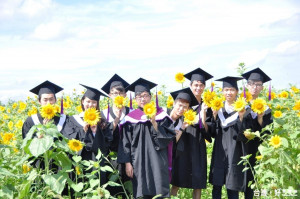 明道大學太陽花海　成為最受歡迎的畢業花