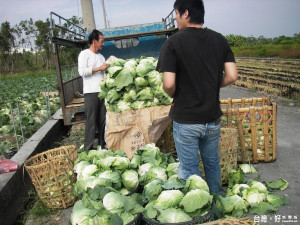 務農人口缺工嚴重　彰化成立農事服務團招募人員