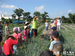   大甲區文武國小四十名學生昨日在農會安排，下田拔青蔥、洗青

蔥，個個首度接觸農務，興趣高昂，田野間笑聲四起。（記者陳榮昌攝）
