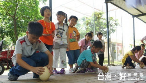 台南市學甲區「頑皮世界野生動物園」端午節，將舉辦「立鴕鳥蛋大賽」歡迎大家逗熱鬧。（記者邱仁武／攝）
