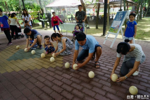 台南市學甲區「頑皮世界野生動物園」，端午節連假舉辦「立鴕鳥蛋」大賽，相當熱烈。（記者邱仁武／攝）