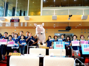 保麗龍台灣豬抬進中市議會，藍營議員逼林市長簽署