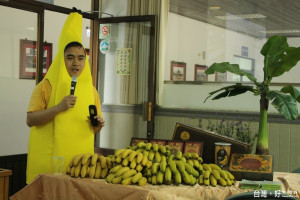 集集山蕉將登台中洲際棒球場，中信兄弟特別訂了30箱集集山蕉，於球賽現場分送給球迷。