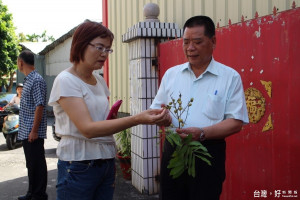 社頭龍眼鳳梨災損嚴重　立委會勘農損情況