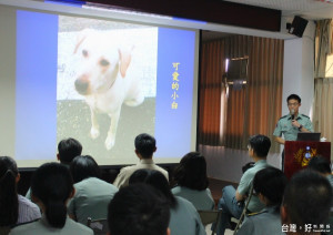 國軍強化愛護動物觀　專案法治教育喚起生命價值