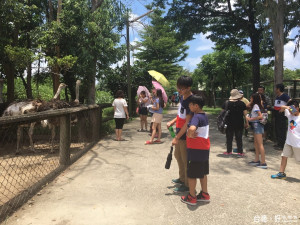 學甲區「頑皮世界野生動物園」暑假期間推出七歲以下小朋友入園一律免費活動。（記者邱仁武／攝）