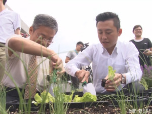 綠屋頂好處多 市政府參訪元培成果