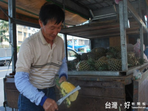 嘉義縣傅金輝在大甲買自種的鳳梨十餘，擄獲得消費者選購之心，如

年上了年紀將停止營業，民眾卻不肯而成了街坊美談。（記者陳榮昌攝）