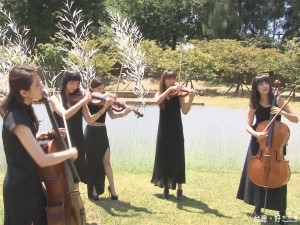 地景藝術悄然進入新竹 翻轉公園樣貌