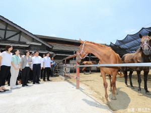 蔡總統參觀后里馬場