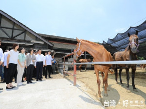 總統蔡英文二十九日上午，視察花博后里馬場森林園區，台中市長林

佳龍等人士陪同，參觀馬場飼養的駿馬。（記者陳榮昌攝）