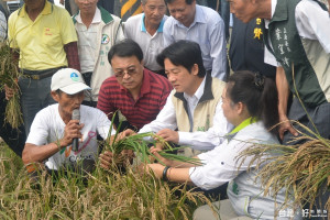 天災肆虐，農漁民損失慘重，台南市長賴清德（中）勘察農損。