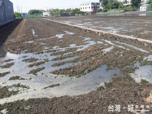 大里夏田被汙染農田規劃作產業園區。林重鎣攝