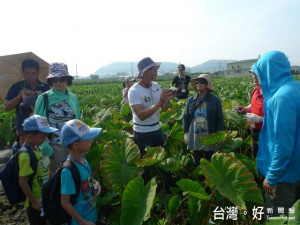 30位全國而來的小朋友，昨日參加芋們的夏日之旅，在芋田聽取種芋

頭過程，並親嚐採芋頭樂趣。（記者陳榮昌攝）
