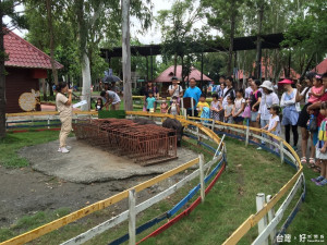 頑皮世界野生動物園恢復表演的「動物表演」頑皮劇場，吸引不少遊客駐足圍觀。（記者邱仁武／攝）