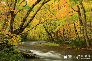 （圖／大榮旅遊提供）