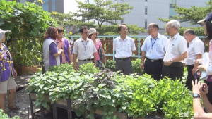 德行里菜園經營有成　療癒社區.繁榮商圈