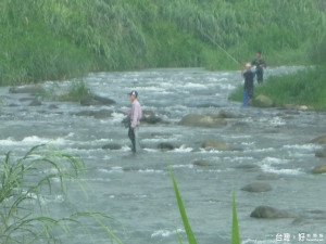 颱風天仍見部份釣客涉險進入溪中垂釣，安全堪虞。（記者黃玉鼎攝）