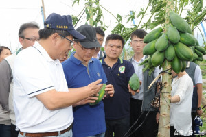 行政院長林全南下視察高屏農損情況。（圖／資料照片）