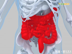 豬哥亮驚傳大腸癌開刀　那你篩檢了嗎？