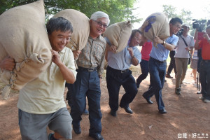 首長扛米包競賽，體驗詔安客家莊稼辛勞。（記者郭春輝攝）