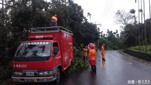 救難協會、後備指揮部均派員協助南投市整理倒伏的路樹。