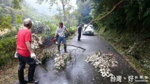 楊勝評局長表示，「梅姬」颱風侵襲，造成道路及步道倒樹影響交通，水源地受損及環境滿是樹枝落葉。