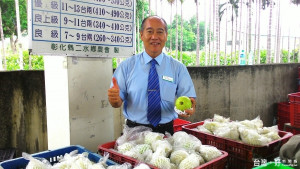 保障果農收益及銷售管道　二水鄉開設芭樂共選運銷