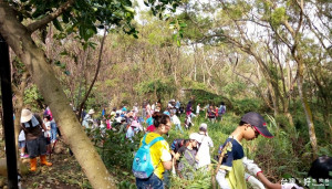 守護家園動手除蔓活動