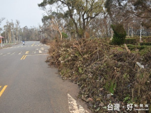 梅姬颱風來襲，大甲鐵砧山花木嚴重受創，主管單位把枝葉集放路旁十天

未清，讓遊客一見大倒胃口，行政落漆情況，讓人大開眼界。（記者陳榮
昌攝）