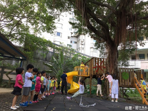 坑附幼改造老樹 變身大自然教室