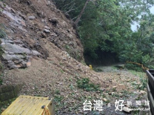 
圖:新竹林區管理處因拉拉山巨木群的步道和林道等受損，決定辦理復建。(林務局提供攝)