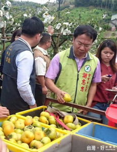 中市農損現金救助申請昨截止 市府盡速辦理勘查報中央複審