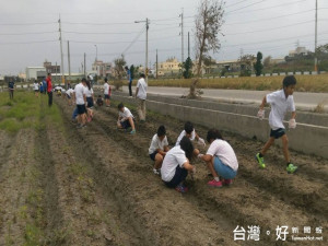 大甲區農會（玉、見快樂）活動，四十餘位小朋友接受青農教導後，在田

間栽種水果玉米，興奮的說，可以吃到自已種的玉米了。（記者陳榮昌攝
）