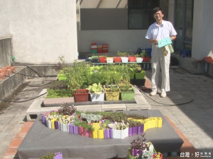 寶特瓶綠屋頂 輕鬆打造綠色家園