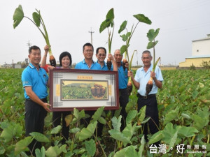 大安區農友黃至青種植的芋頭，外表黑白分明亮麗無比，內質澱

粉高，煮後Ｑ、香、鬆，至佳的品質，參加2016年品質評鑑比賽獲得冠軍

頭銜，十九日農會總幹事蔡建宗執獎匾前往祝賀。（記者陳榮昌攝）
