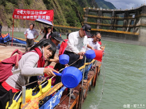 台電公司、和平區地方各界人士與梨山國中小學及和平國小師生，共同參與德基水庫魚苗放流活動。（記者黃玉鼎攝）