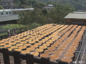 延續柿餅產業生命 柿餅廠轉型拚經濟