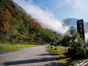 八仙山國家森林遊樂區入口處的山巒，已逐漸換上彩妝。（圖／東勢林區管理處提供）