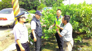 芭樂價格水漲船高引宵小覬覦　溪州鄉產地多性農民受害