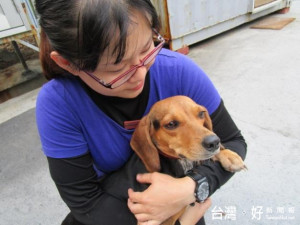 擴大配合推動106年犬隻零安樂政策，嘉義縣政府將落實精準捕捉及收容總量管制工作。