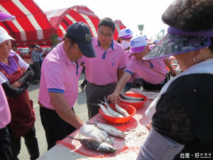 南縣區漁會理事長周萬松、總幹事陳崇德親自督導刮虱目魚鱗乾淨比賽現場。（記者邱仁武／攝）